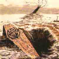 Comatose (USA-1) : Deep Sleep